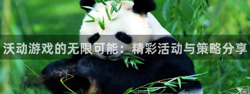 天美娱乐平台登录线路：沃动游戏的无限可能：精彩活动与策略分享