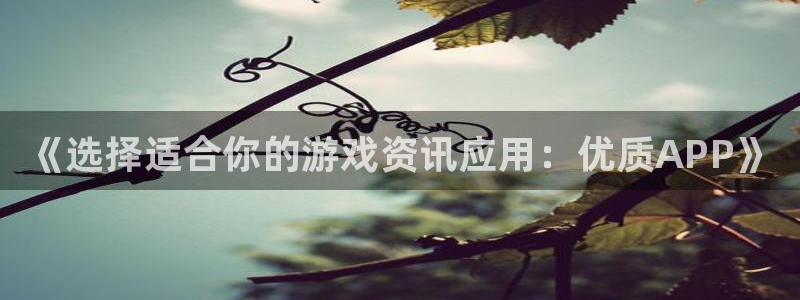 天美娱乐app下载|下载地址：《选择适合你的游戏资讯应用：优