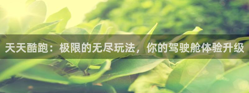 天美娱乐手机网页版登录：天天酷跑：极限的无尽玩法，你的驾驶舱
