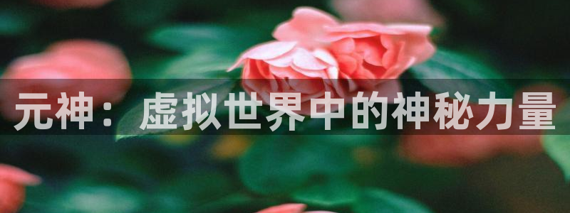 天美娱乐科技