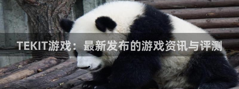 天美娱乐平台官网入口：TEKIT游戏：最新发布的游戏资讯与评