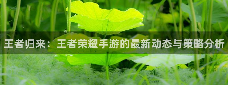 天美娱乐公司