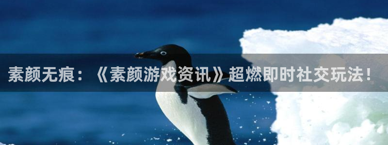 天美娱乐官网网页版