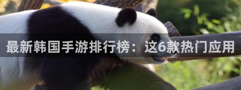 天美娱乐公司是在哪里