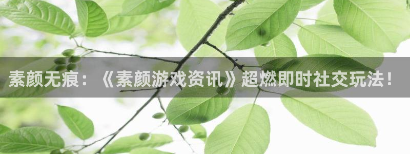 天美娱乐公司是在哪里