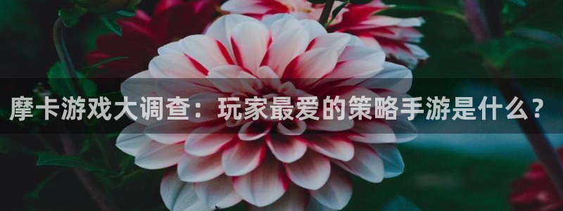 天美娱乐平台怎么样知乎