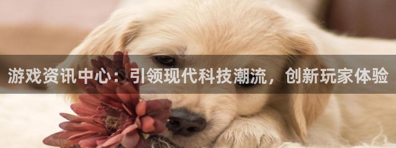 天美娱乐平台注册官网：游戏资讯中心：引领现代科技潮流，创新玩